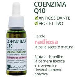 Coenzima Q10