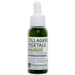 Collagene Vegetale