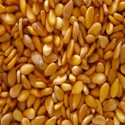 Olio di sesamo bio