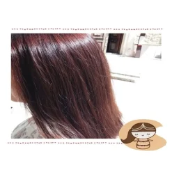 Tinta vegetale castagno - Indrani